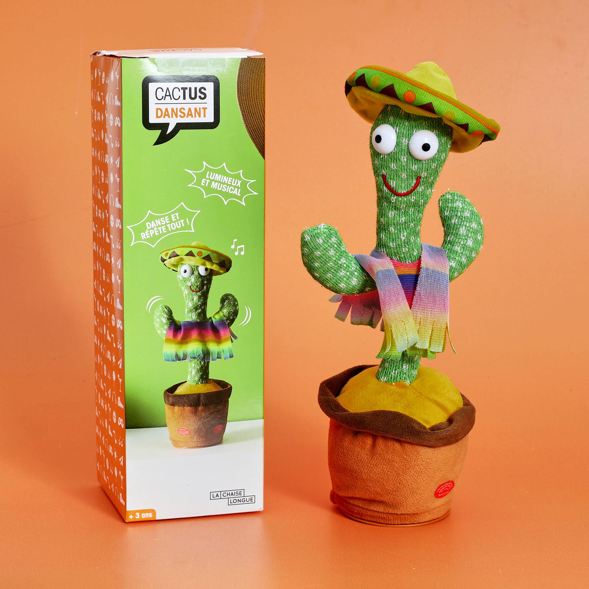 CACTUS DANSANT