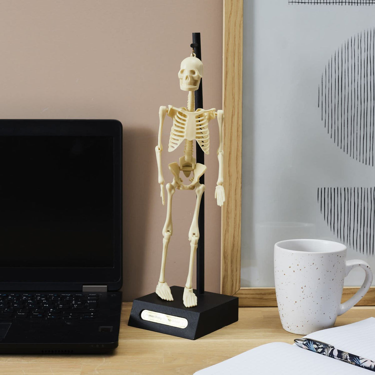 MINI SQUELETTE DE BUREAU OSCAR