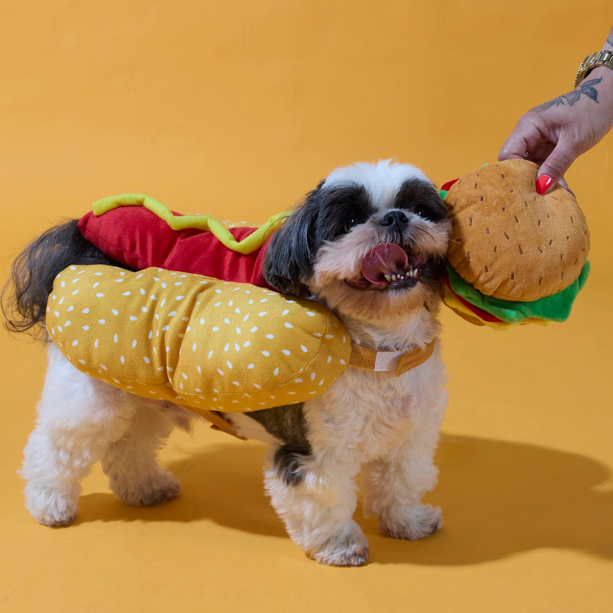 DEGUISEMENT HOT-DOG POUR CHIEN