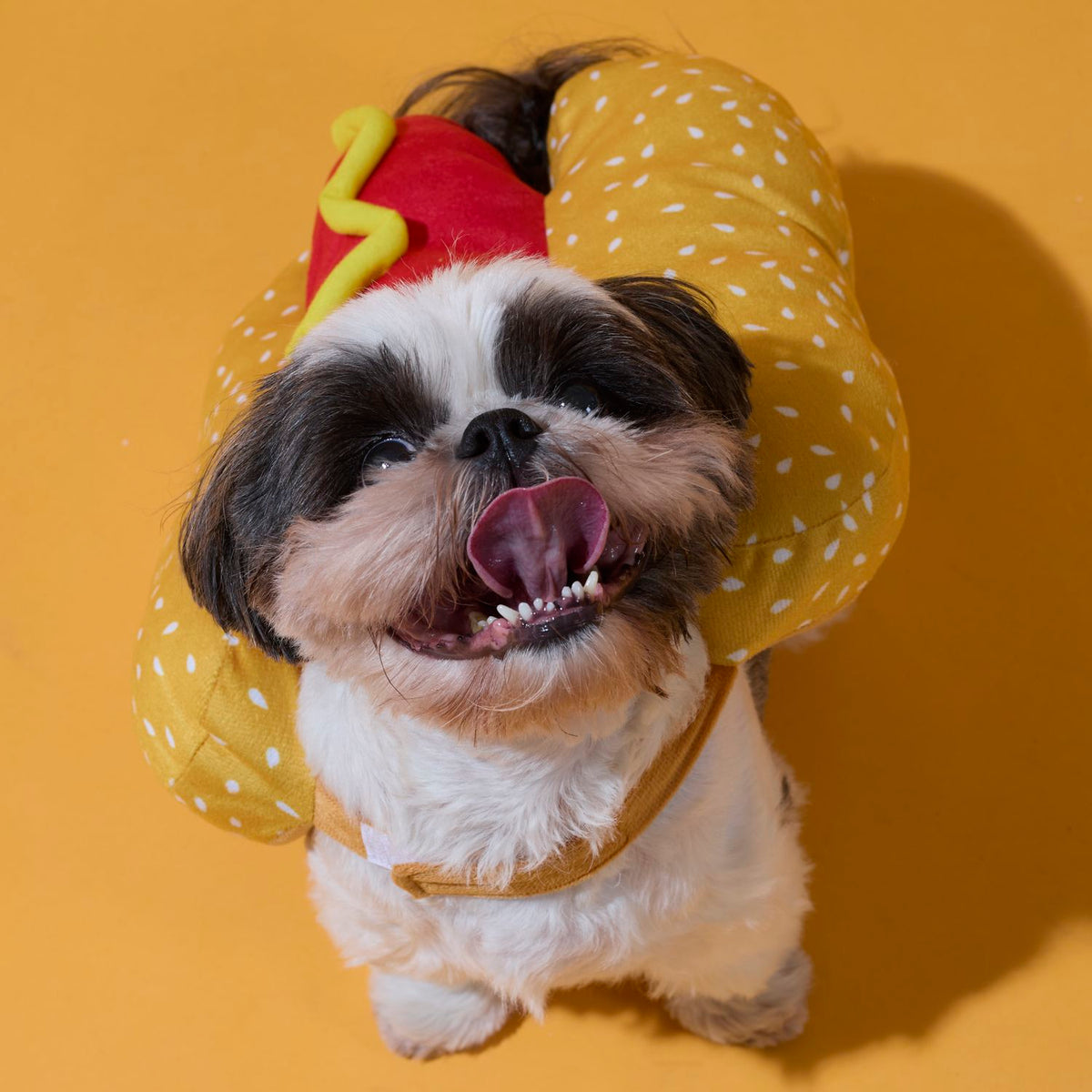 DEGUISEMENT HOT-DOG POUR CHIEN