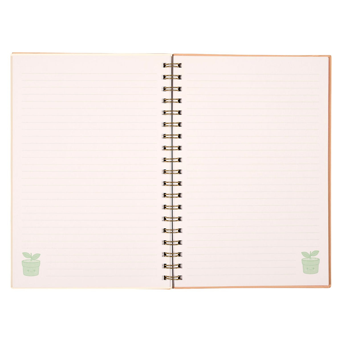 CARNET PETITE PLANTE