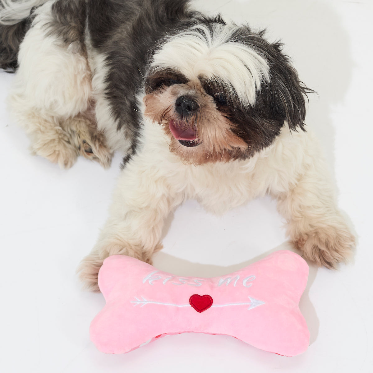 JOUET POUR CHIEN OS KISS ME
