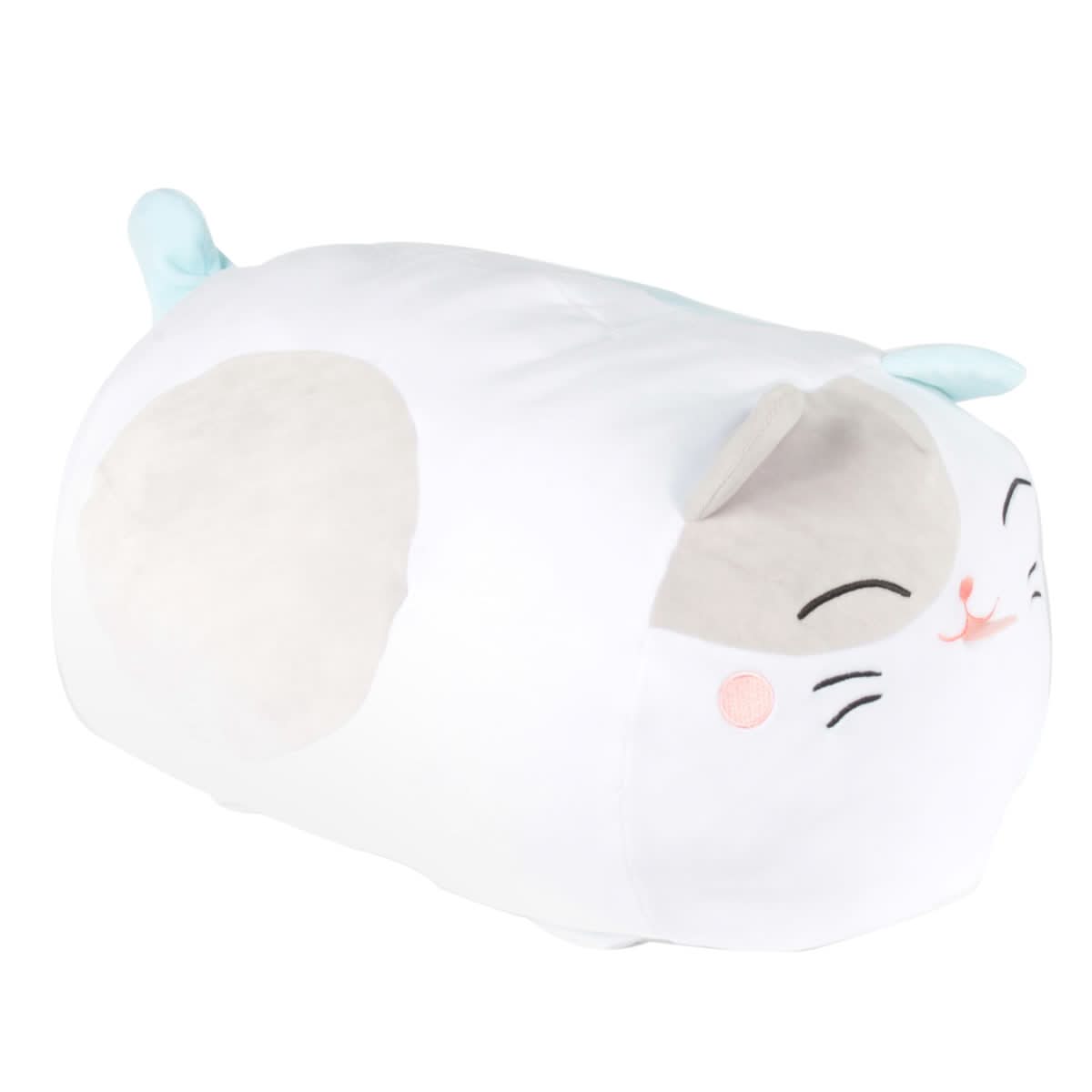 COUSSIN CHAT