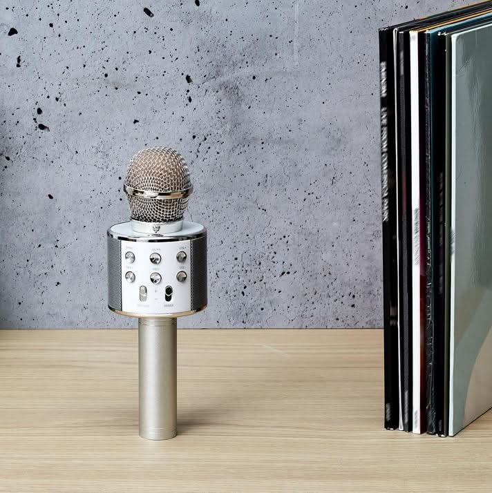MICRO KARAOKE