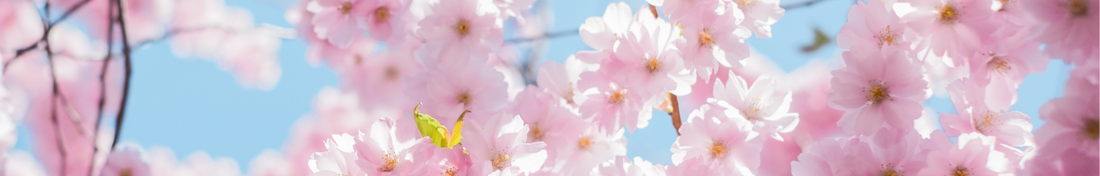 Le Printemps