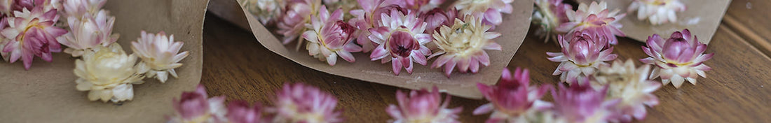 UN BOUQUET D'IDÉES DÉCO Pour cultiver l’art de la décoration, sans vous planter !