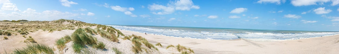 C'EST L'AMOUR À LA PLAGE ♪ Les must have pour vos vacances d’été à la plage !