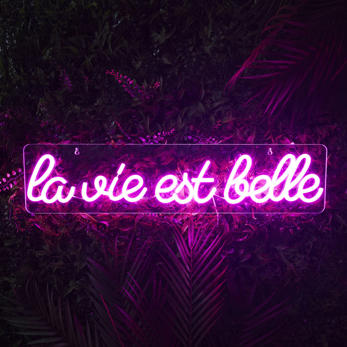 LAMPE EFFET NÉON LA VIE EST BELLE