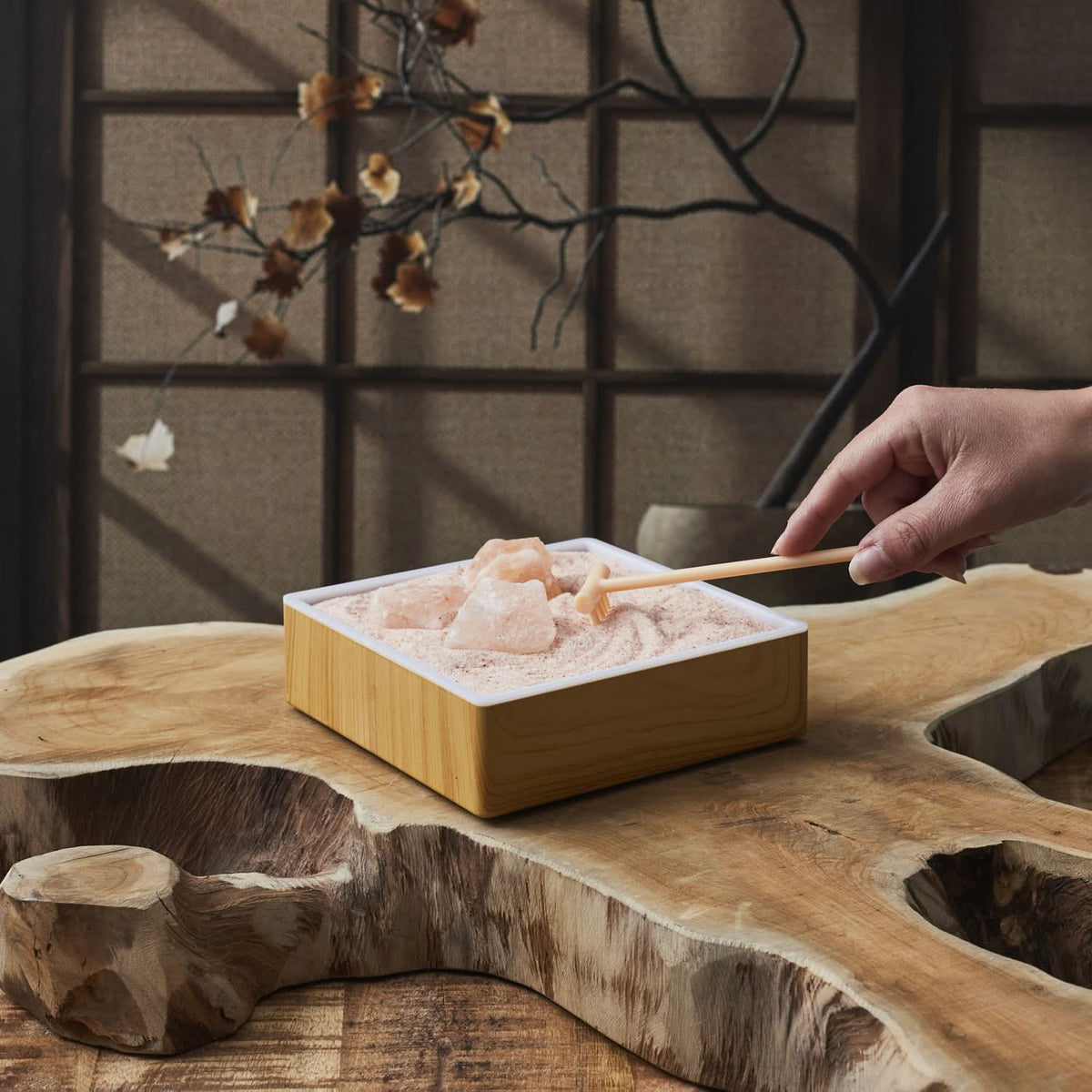 JARDIN ZEN AVEC CRISTAUX DE SEL ROSE