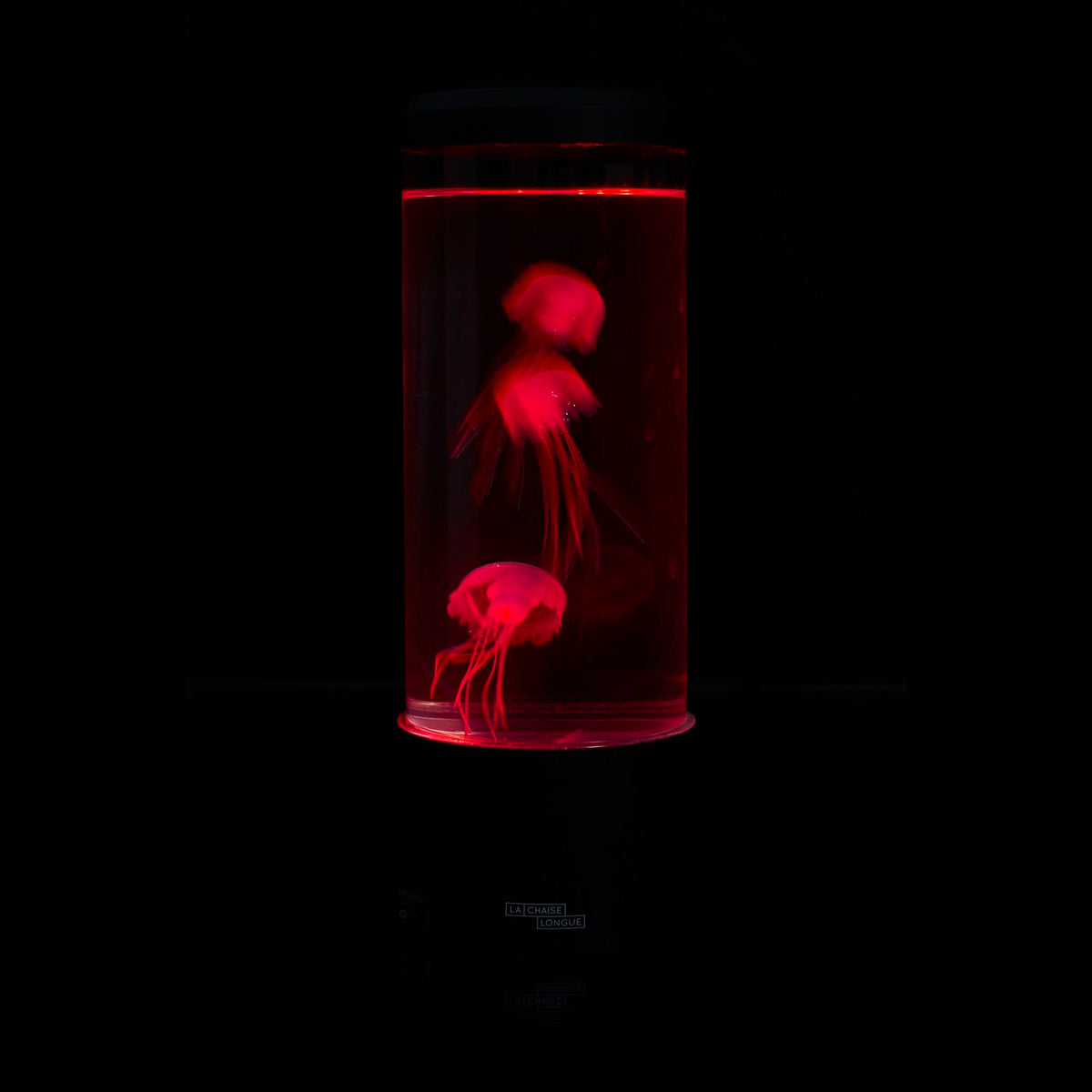 LAMPE AQUARIUM JELLYFISH 22CM