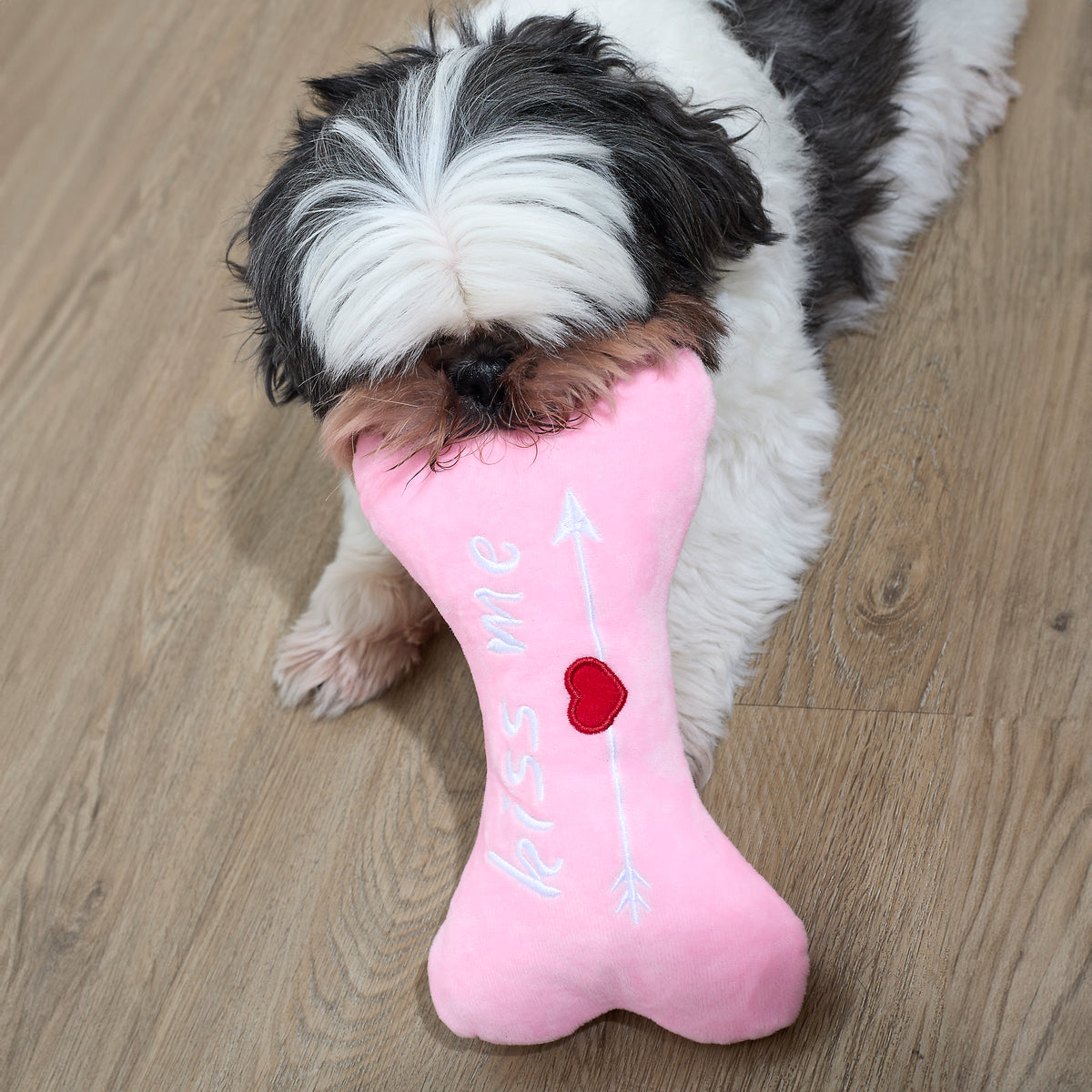 JOUET POUR CHIEN OS KISS ME