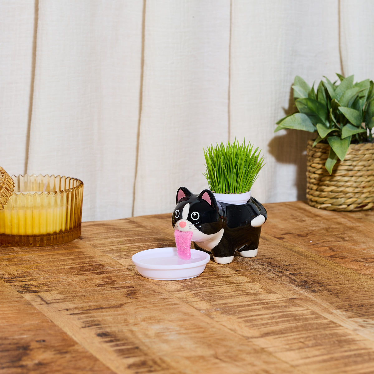 PRÊT A POUSSER CHAT KAWAII