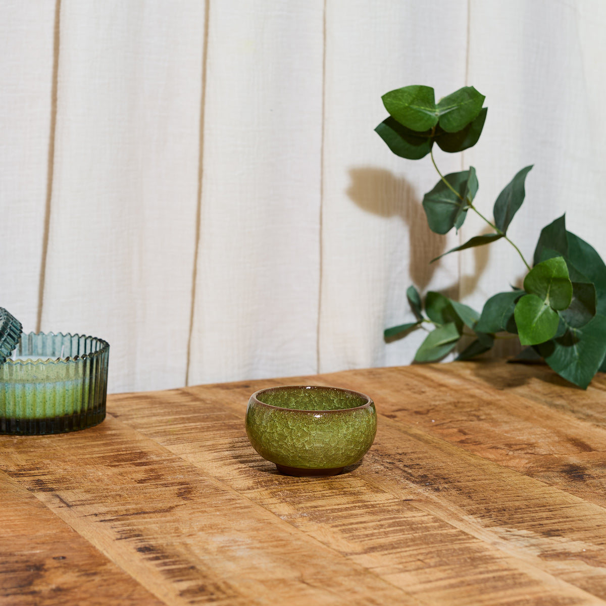 PRÊT A POUSSER BONSAI