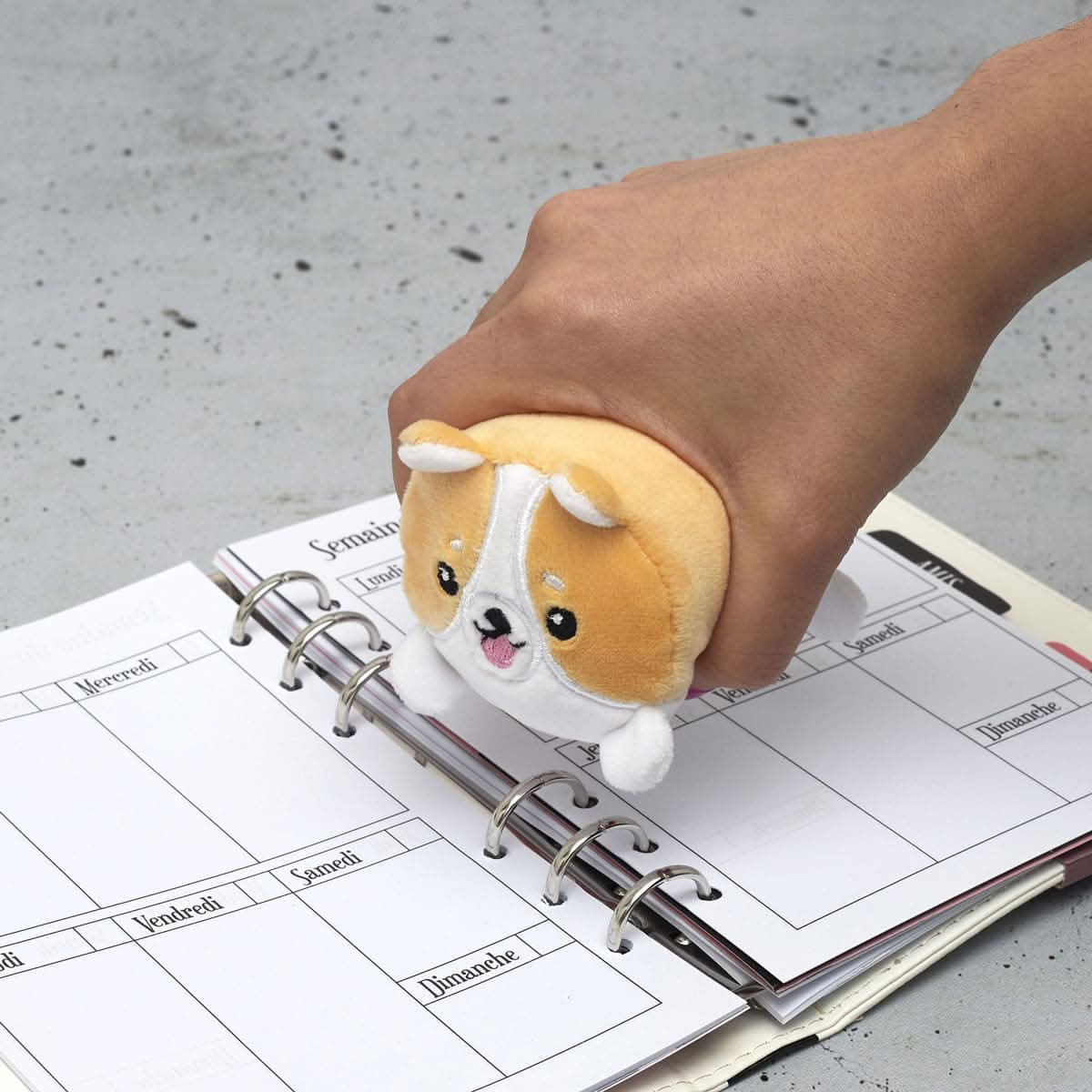 MINI SQUISHY CORGI